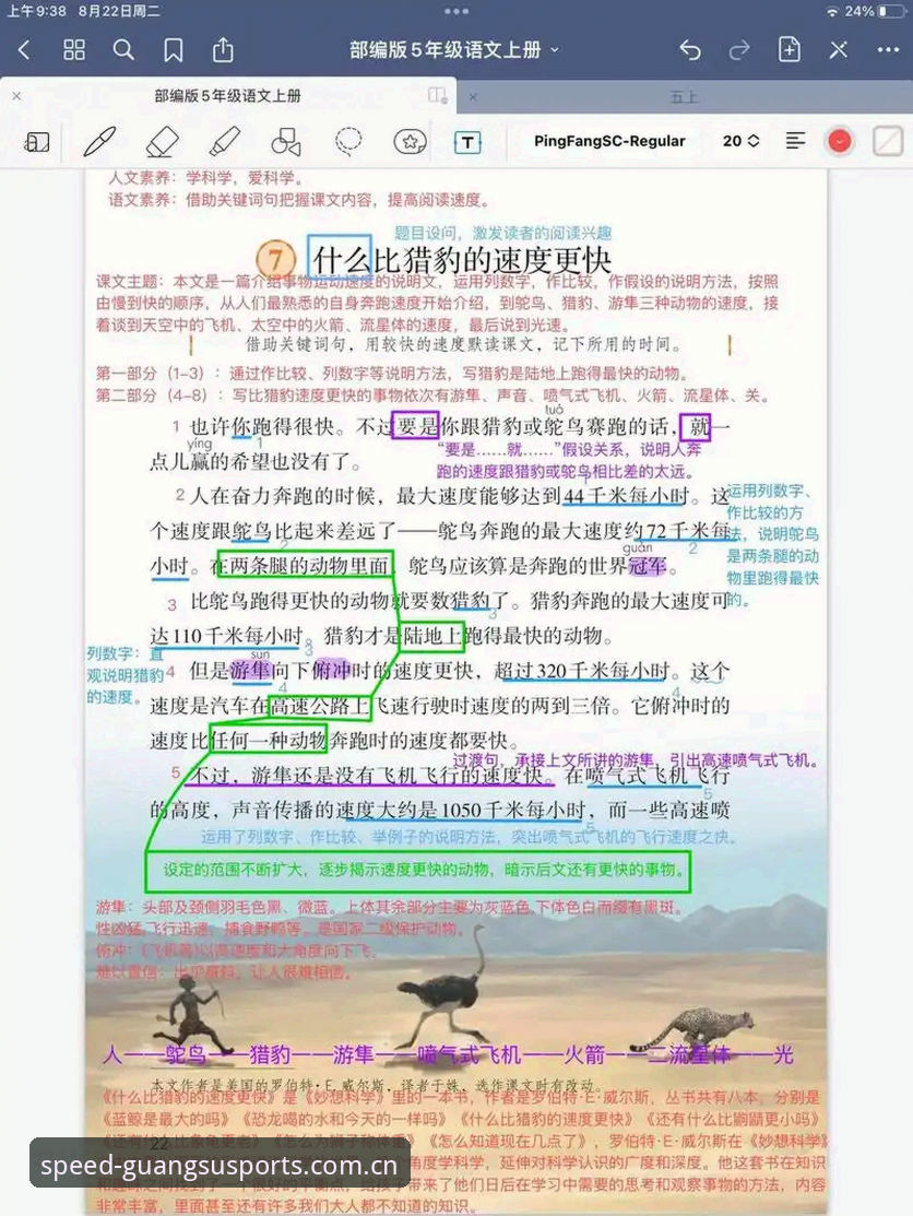 光速体育能否看回放 新手必看!光速体育能否看回放?一位资深用户的使用心得全解析